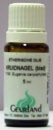 Kruidnagel (blad) 5ml